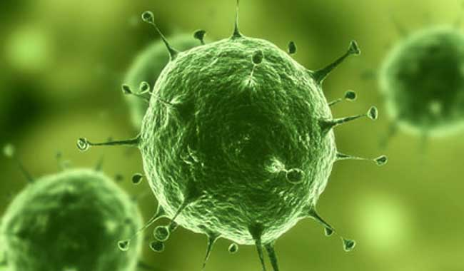 Virus del papiloma humano (VPH) – Más común de  lo que se cree