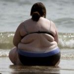 la obesidad y la grasa parda