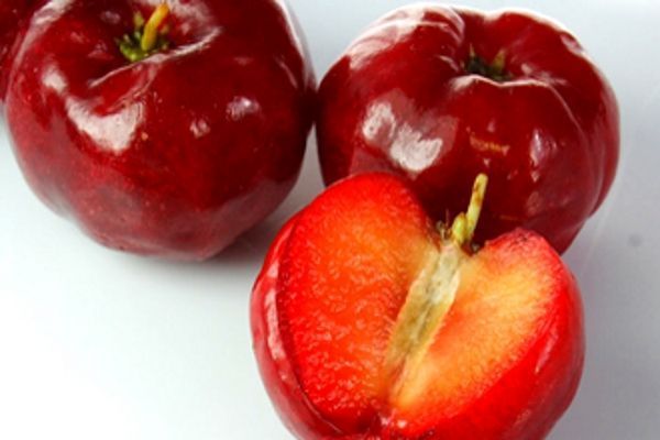 La acerola ¿Alimento o medicamento?