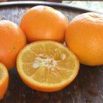 Sinefrina y octopamina de la naranja amarga