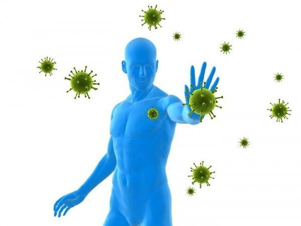 Sistema inmune – Un complejo entramado