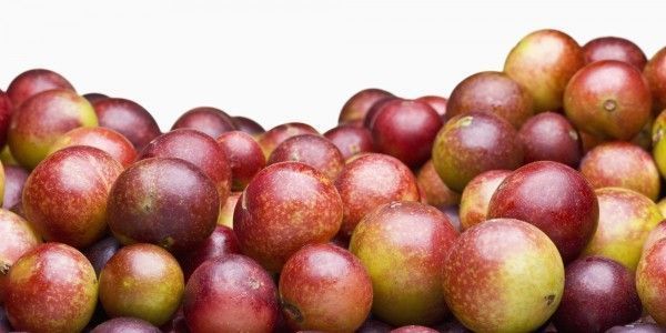 Camu Camu – Un súper alimento