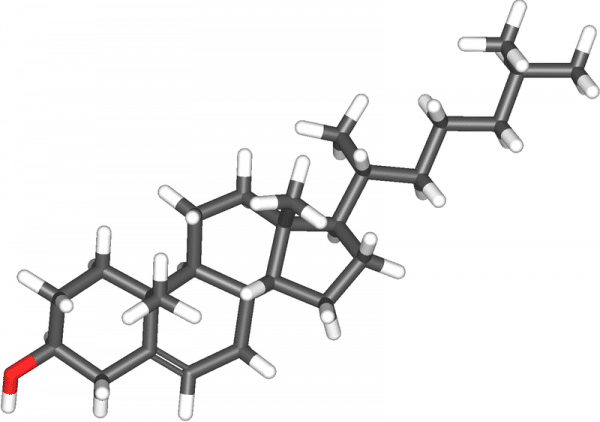 anabolizantes esteroides Experimento: ¿bueno o malo?