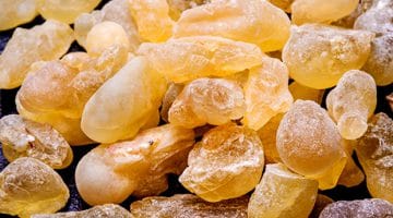 Boswellia serrata