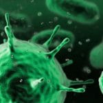 Las bacterias y los virus